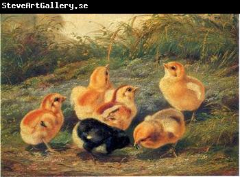 unknow artist chickens 196